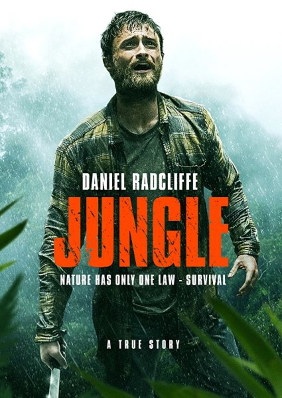large_d9be04ebb355ba877f311fa4cf313000-Jungle.jpg