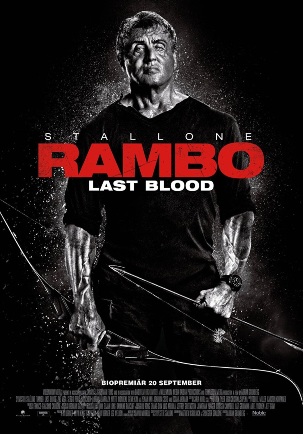 large_db17f155da146052a229be25ac66ef8c-rambo_last_blood_poster.jpg