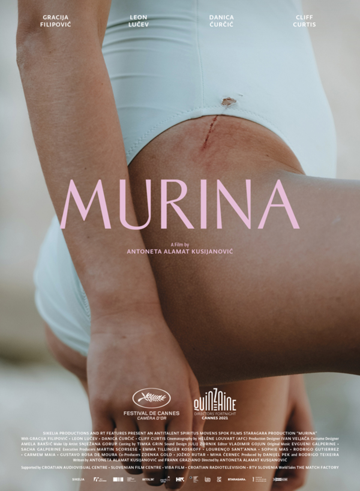 large_db8f5ea2657bd108c9090626815bf52a-murina.jpg