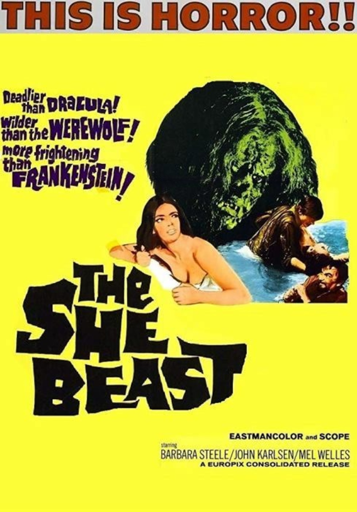 large_dd5f3a03e45e7b6c2823a20406097820-She_20Beast.jpg