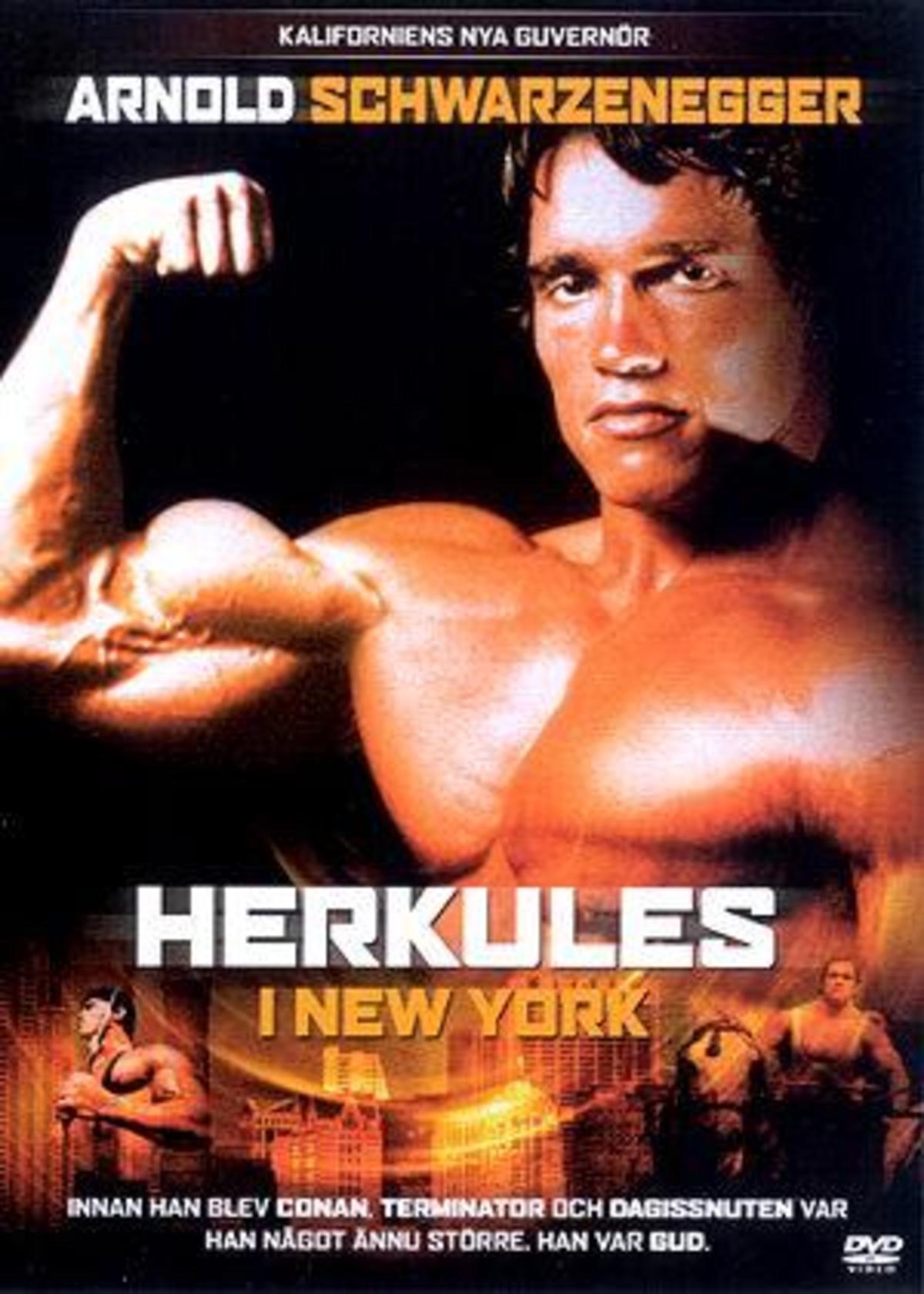 large_df582aa4a72d6db36a113b1b2c23322c-herkules_i_new_york.jpg