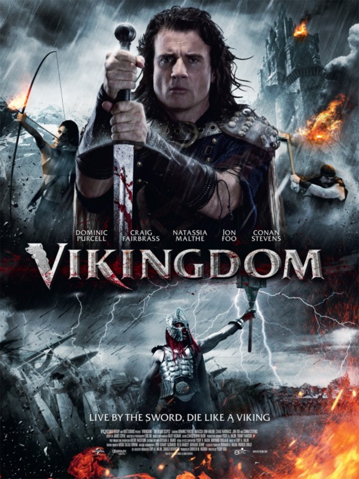 large_e0e99fc7d2ec1b7a37f28449cad17dc0-vikingdom.jpg
