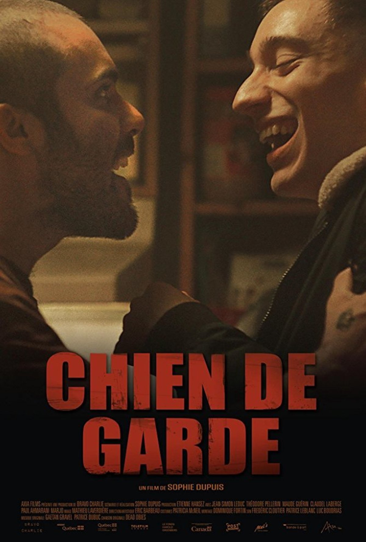 large_e17e464c9fd218b44784a3a5c5f679e3-chien_20de_20garde.jpg