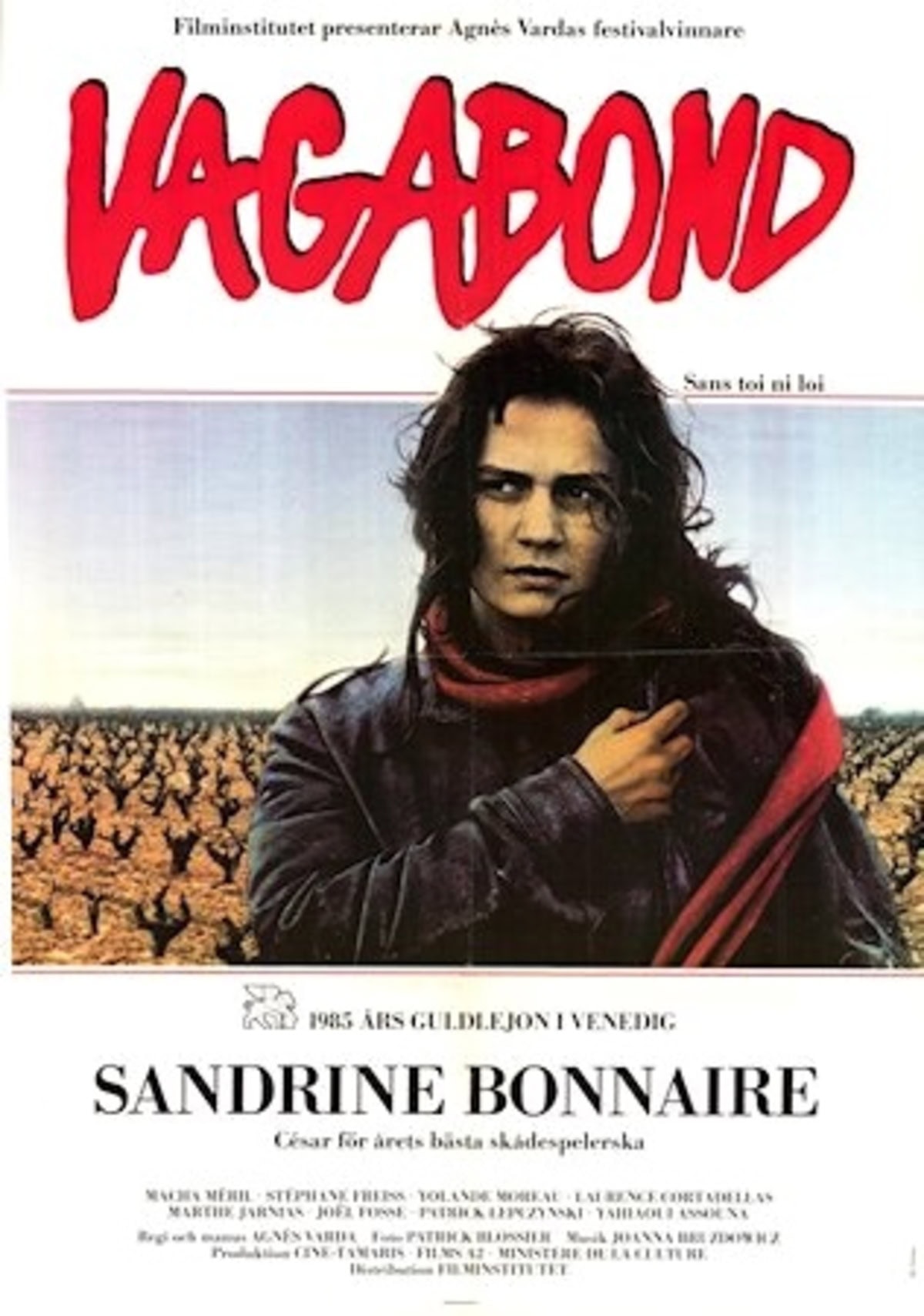 large_e5031d6ea43f02667ae2cdd8d1634138-vagabond_85.jpg