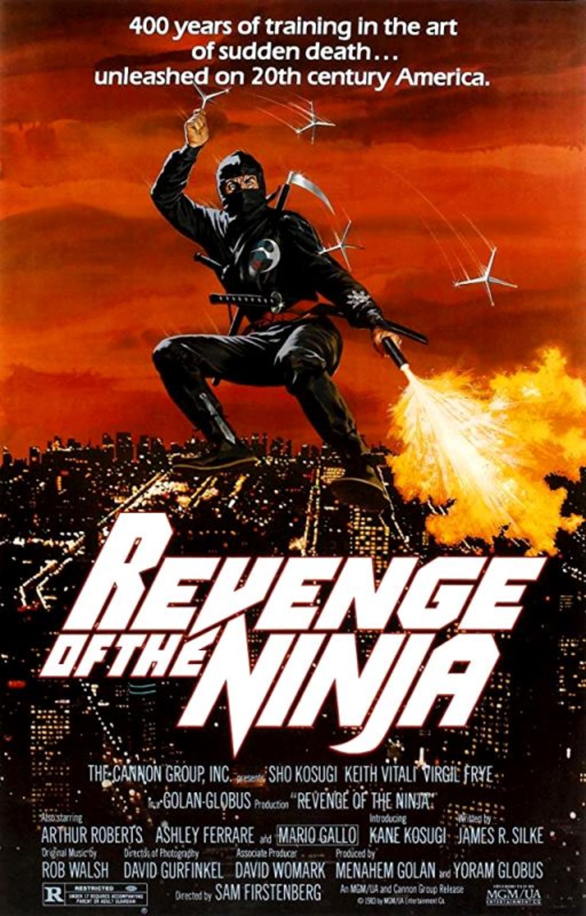large_e77a65a6ccfeb9f7b5b30ee86d95732d-Revenge_20of_20the_20Ninja.jpg