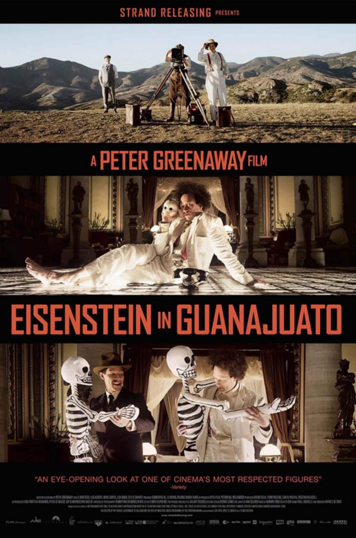 large_e836af650c9bc608e903cd1c3dd907fb-Eisenstein_20in_20Guanajuato_20_2015.png