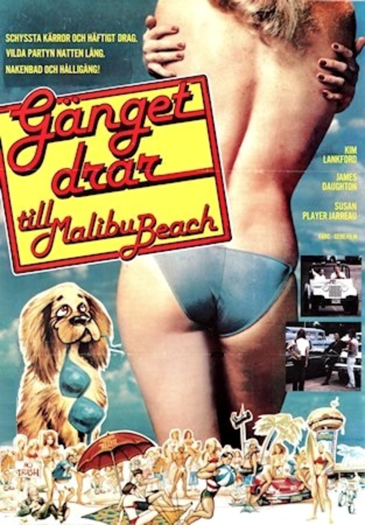 large_e87ebacf6b3a5d2702f9545d97accfc0-ganget_drar_till_malibu_beach_78.jpg