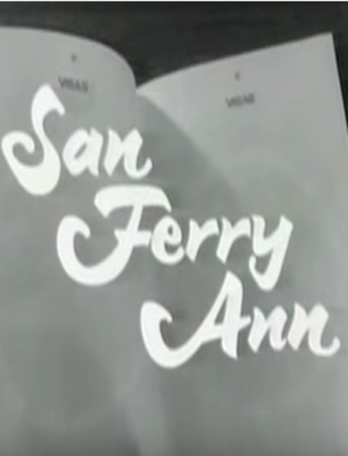 large_ec1543dbae99937cd8fb71c3acbbb457-San_20Ferry_20Ann.jpg