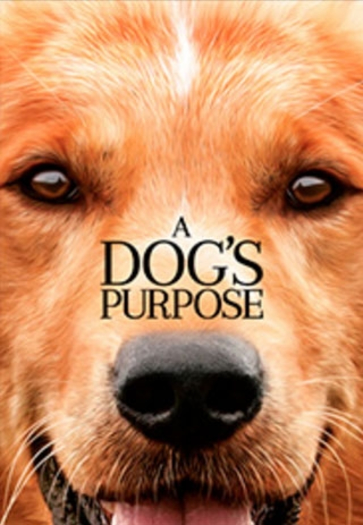 large_ed47d8665c9761ac4e9f73aeefefd7e5-a_dogs_purpose.jpg