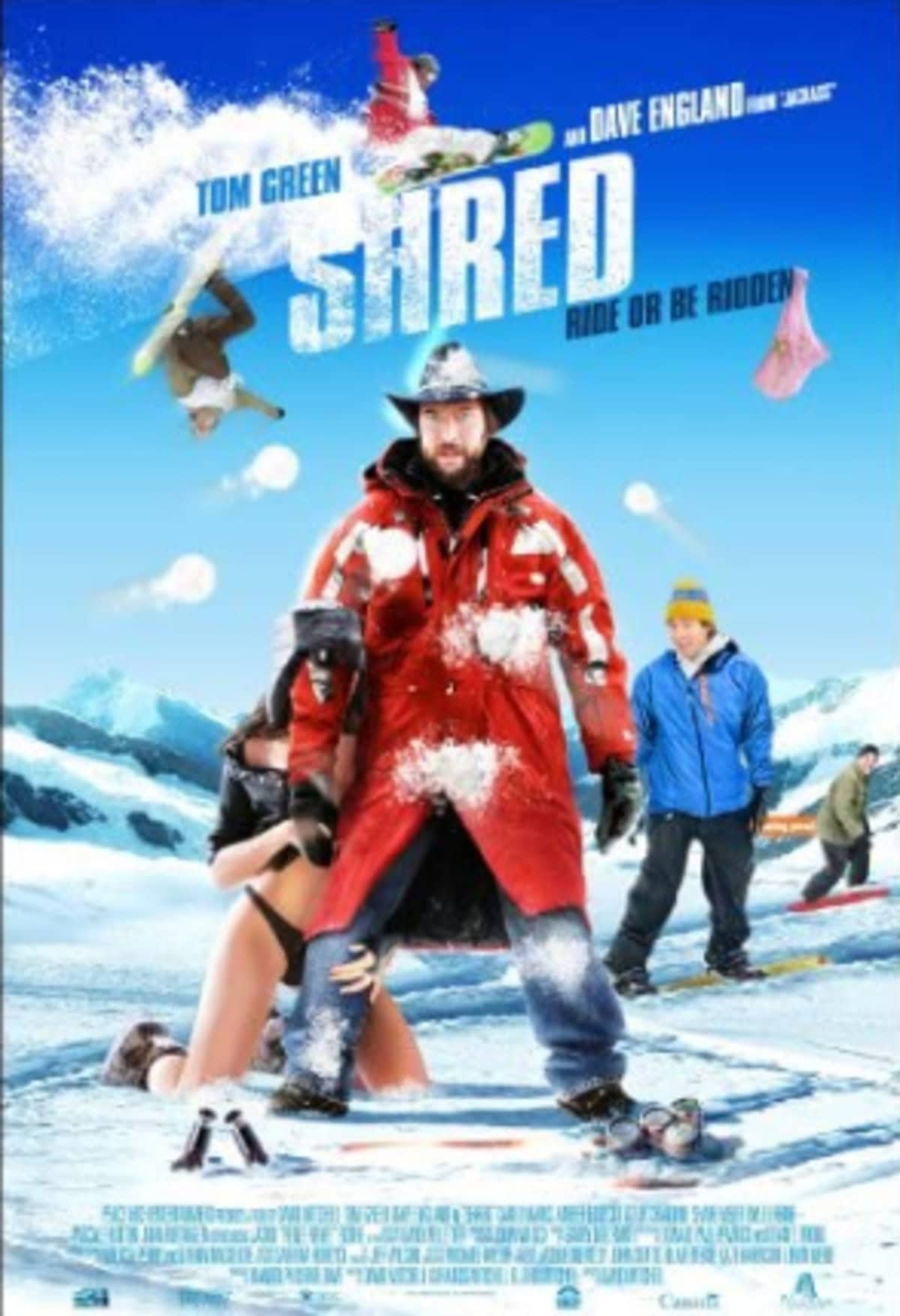 large_ee1cb5c1f662117af71f713ba2cb55ca-Shred.png
