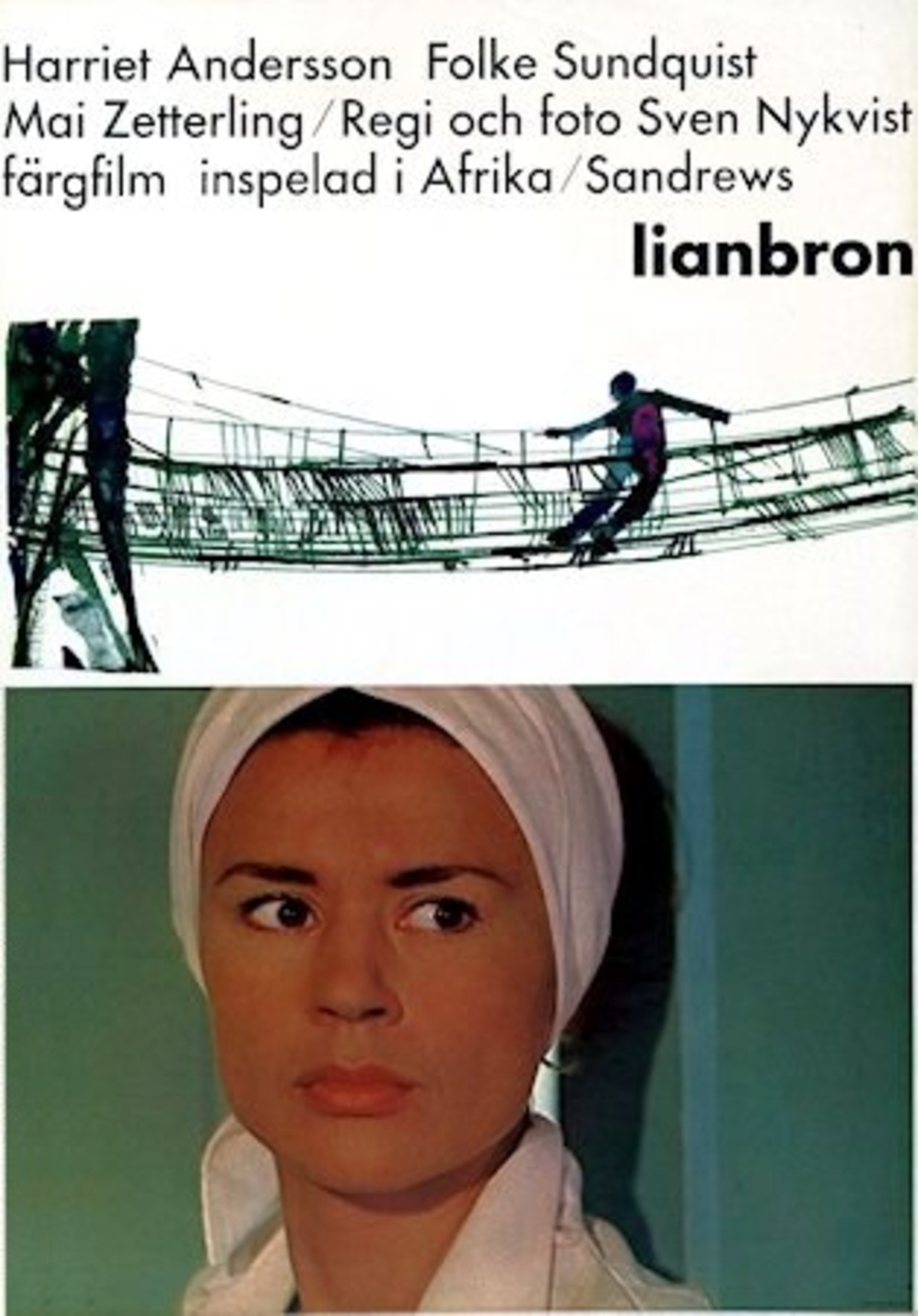 large_f01b8c064bd6c10a4f014a6719263d29-Lianbron.jpg
