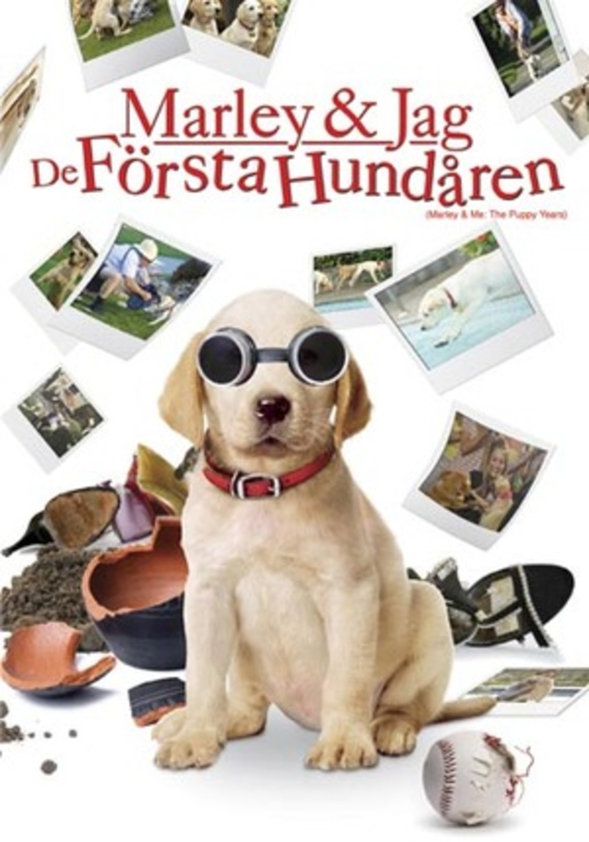 large_f1d75e01109940aaa9eb8531ed95f760-Marley.jpeg