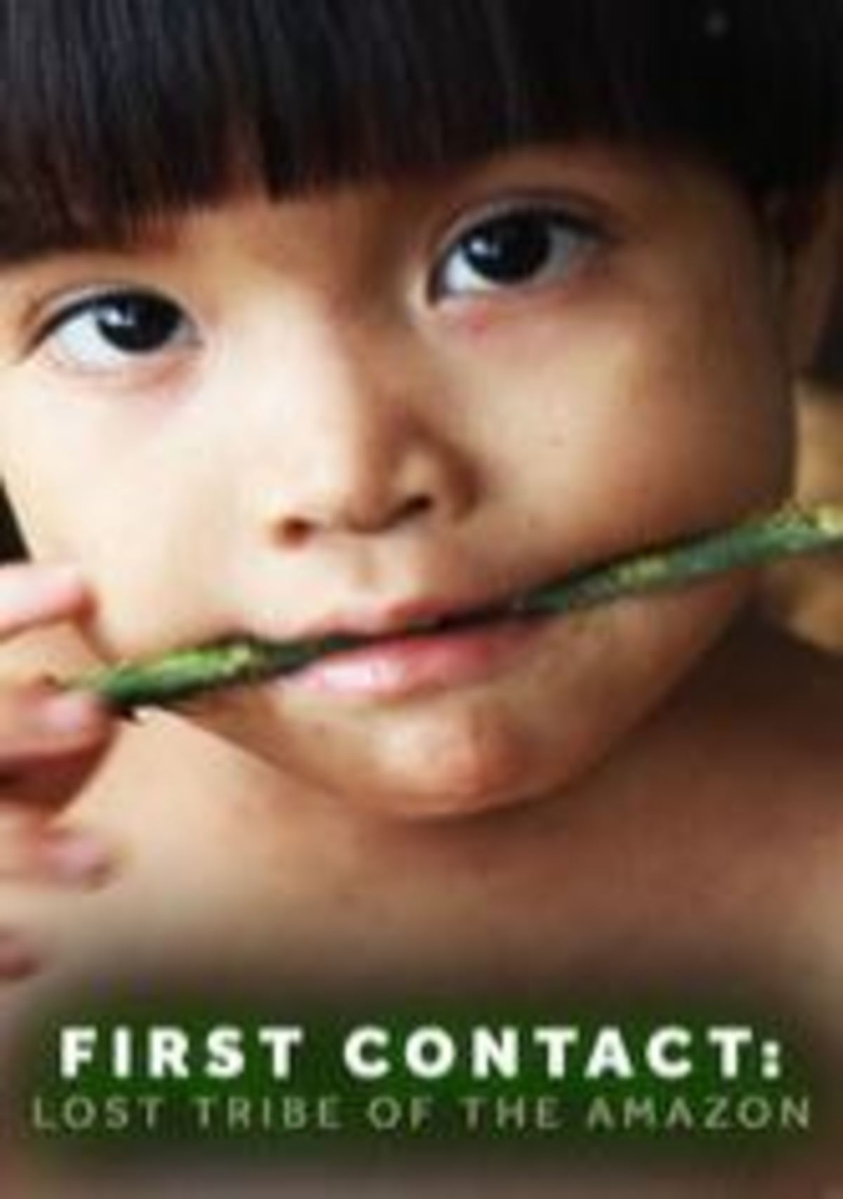 large_f1fb7c0457081c6ef82d3e5f01adfdab-first-contact-lost-tribe-of-the-amazon_80123799.jpg