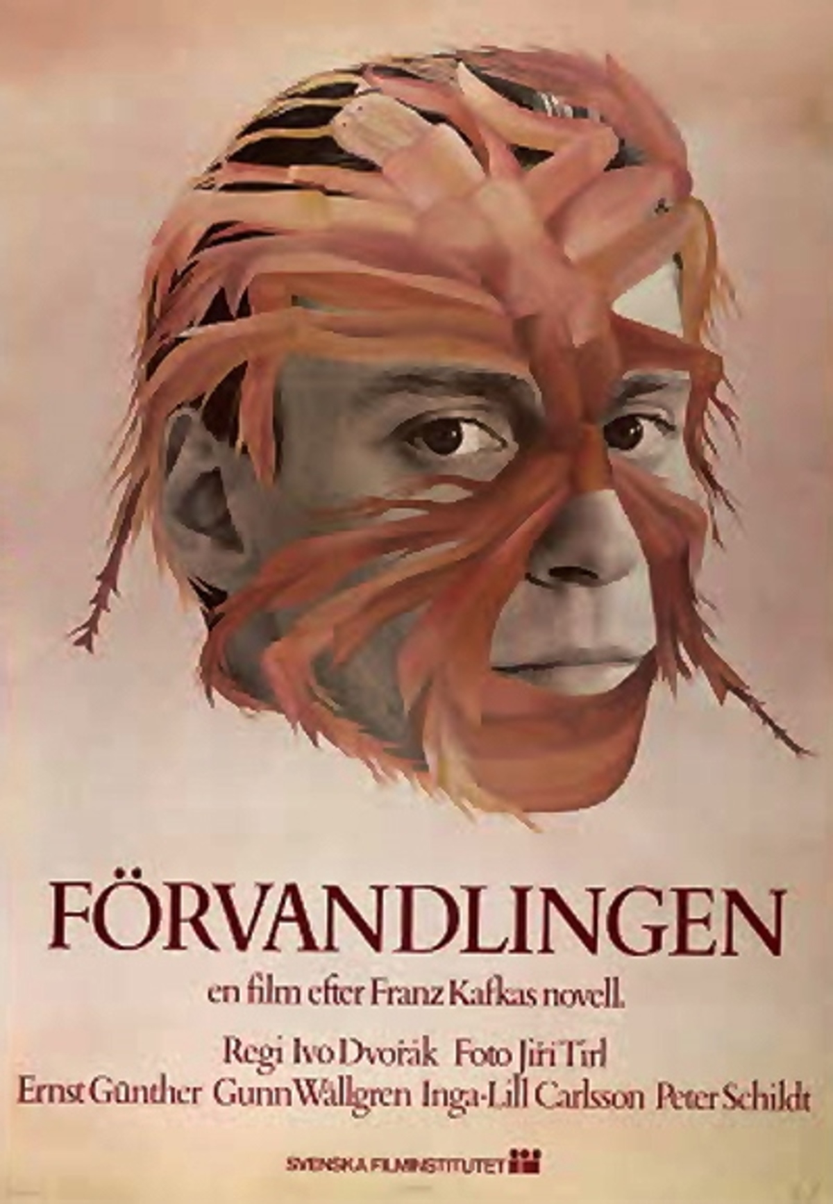 large_f454f23466e6b2ae1dd937b77110daf2-F_C3_B6rvandlingen.jpg