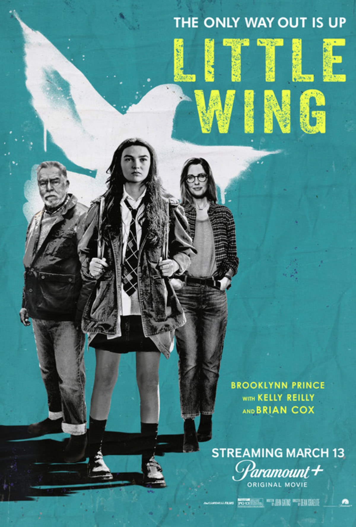 large_f7422439c62f2619f4ac275c3583a756-little_wing.jpg