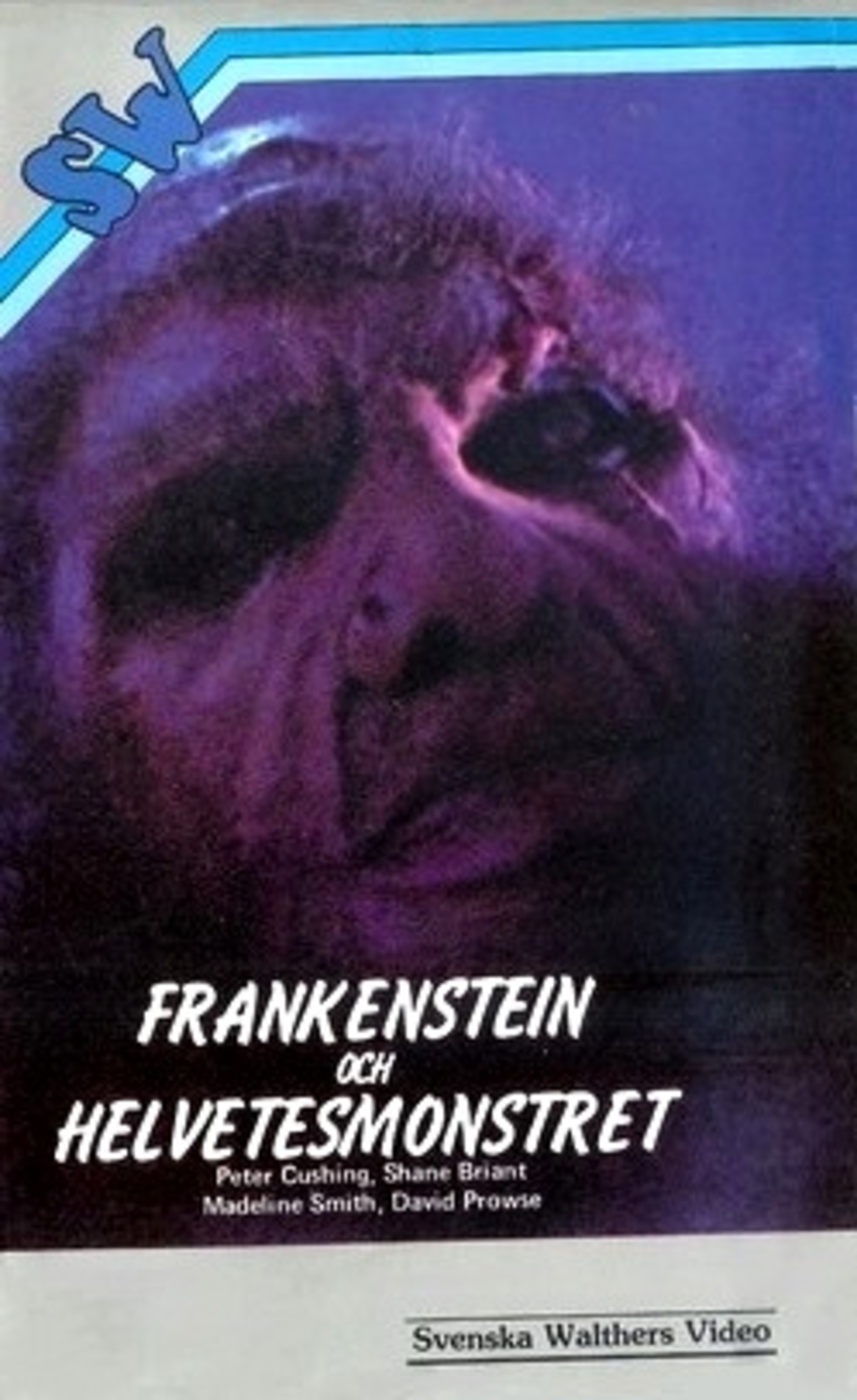 large_f7759cf94475dffaa4e339be3576f0fb-Frankenstein_20och_20helvetesmonstret.jpg