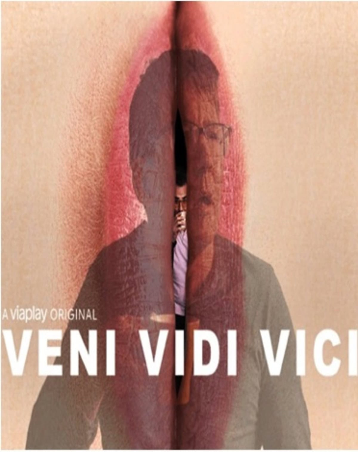 large_f8699bc20a32a99435c3dc078add7a8b-Veni_20vidi_poster.jpg