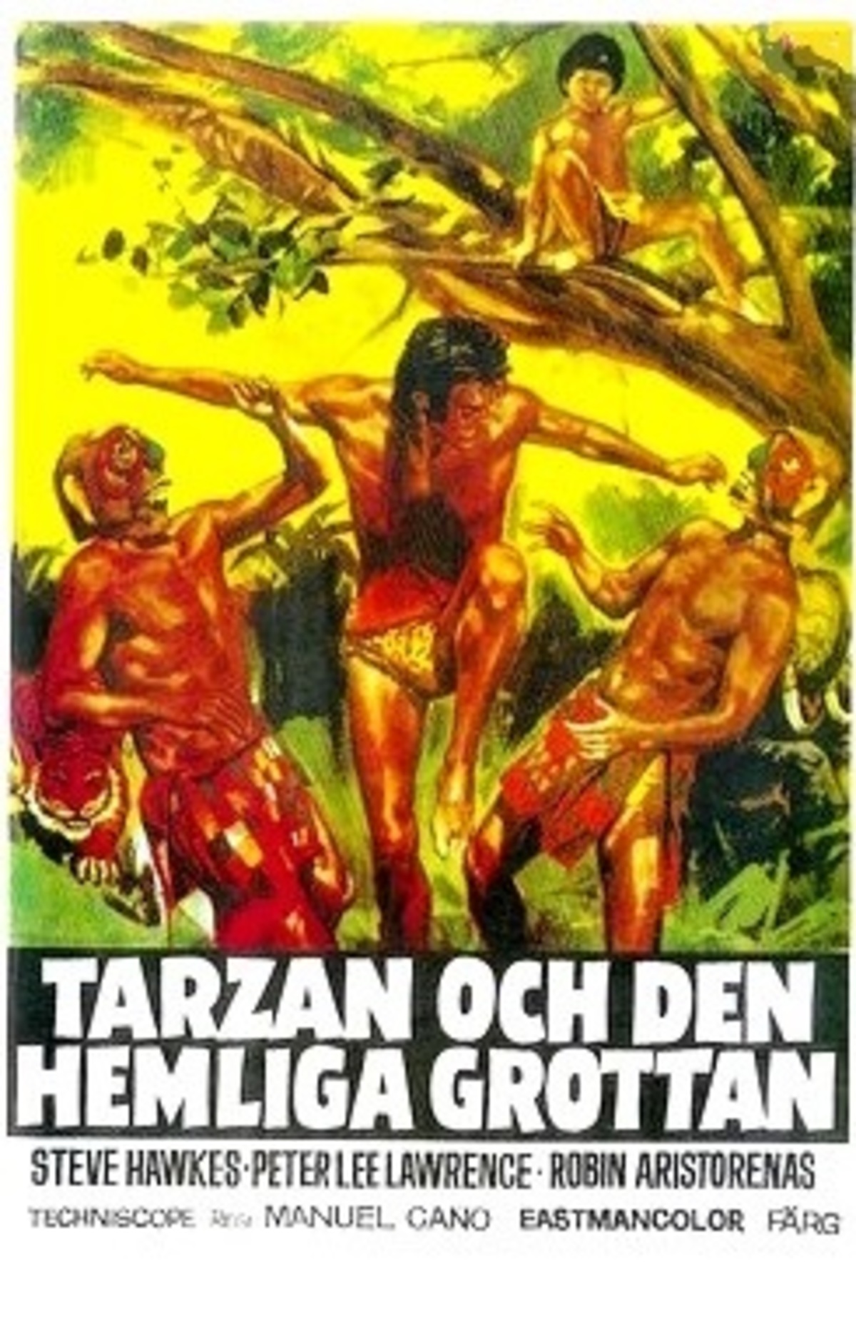 large_f8d90e9a4b32aca4153aa66f8ffa1b10-Tarzan_20och_20den_20hemliga_20grottan.jpg