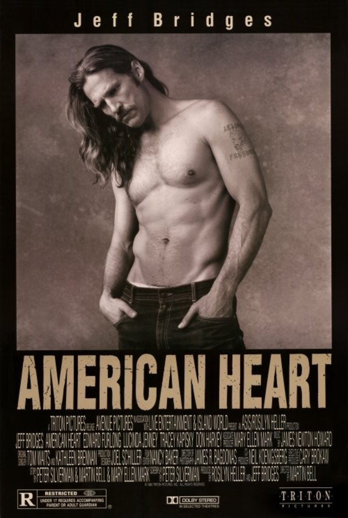large_f93296b8aa70916781d3606753cf1663-american_heart.jpg