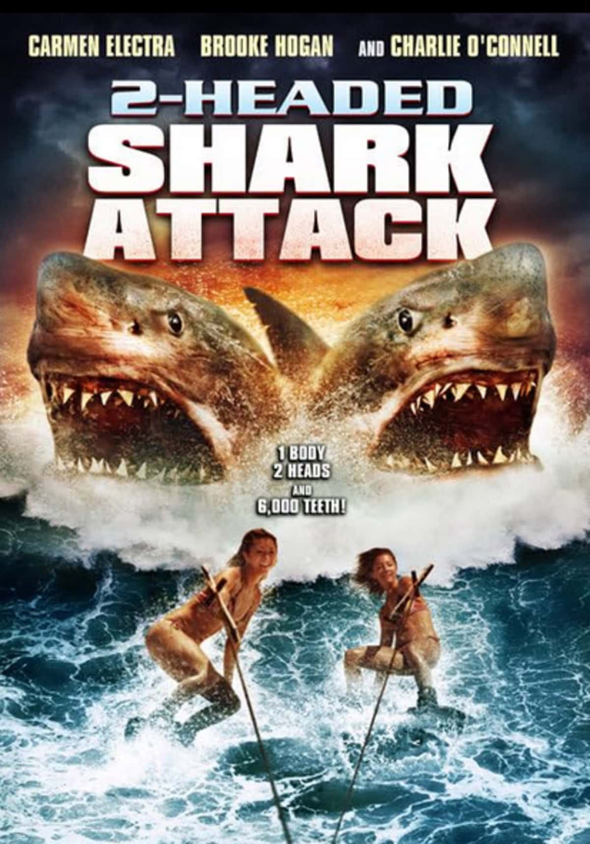 large_f97d00e9b31be9b5092b100b774090c2-2-Headed_20Shark_20Attack_20_2012.png