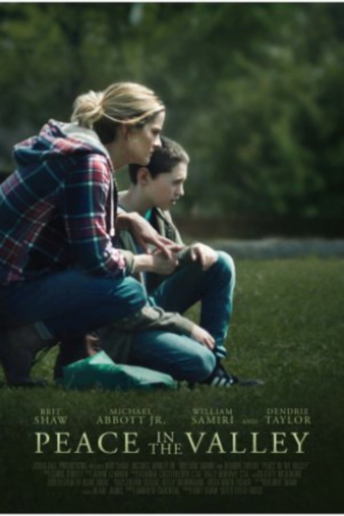 large_f9fbd82efba6ec4908ecf21e94d63fb3-peace-in-the-valley_poster.jpg