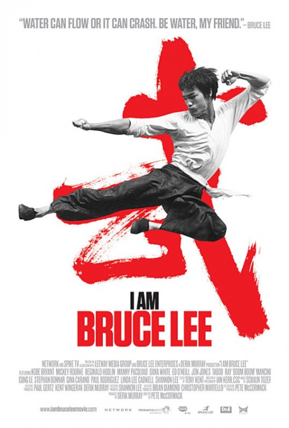 large_fb5313f178569fff429f454c4b4ab722-i_am_bruce_lee.jpg