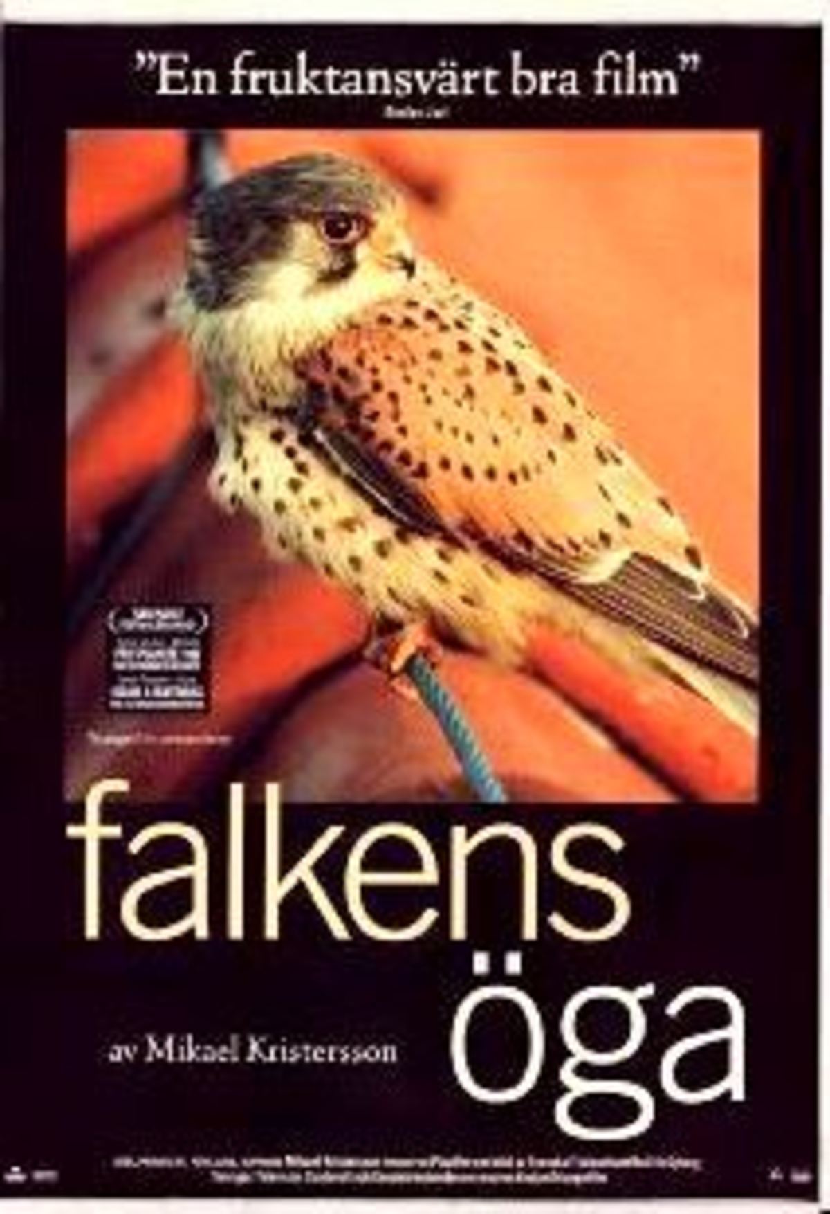 large_fcd5e87f5c4f3c4d40eb730c0b46359c-Falkens_20_C3_B6ga.jpg