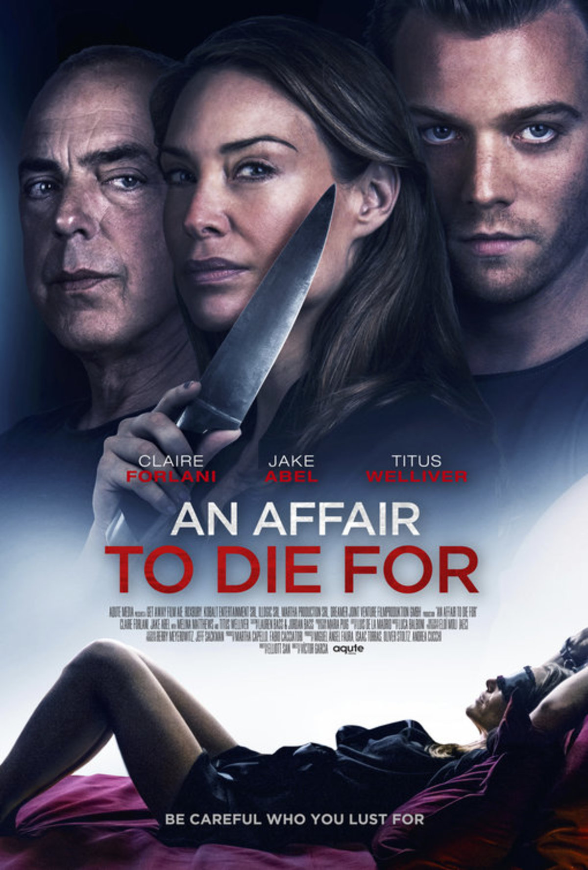 large_fe74823b8c87bd4dd1add5d8cdc93226-affair_to_die_for.jpg