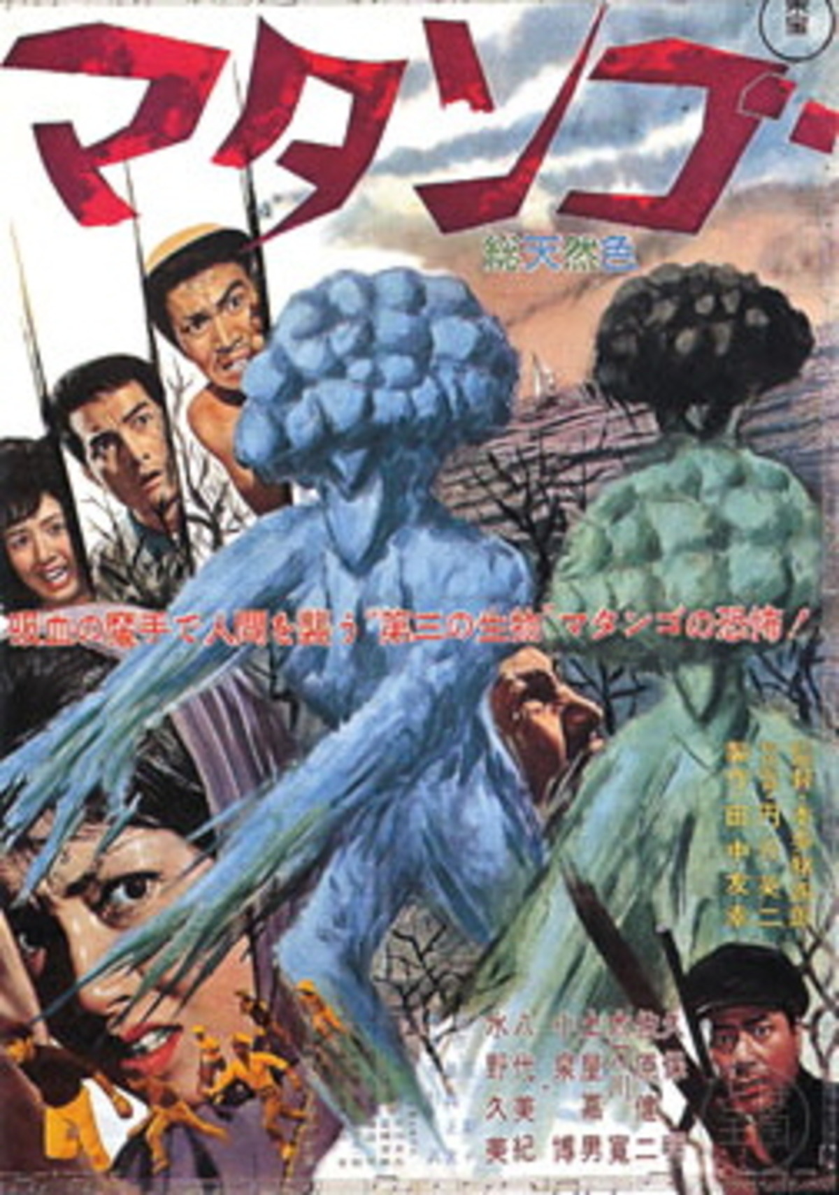 large_original-1978.jpeg