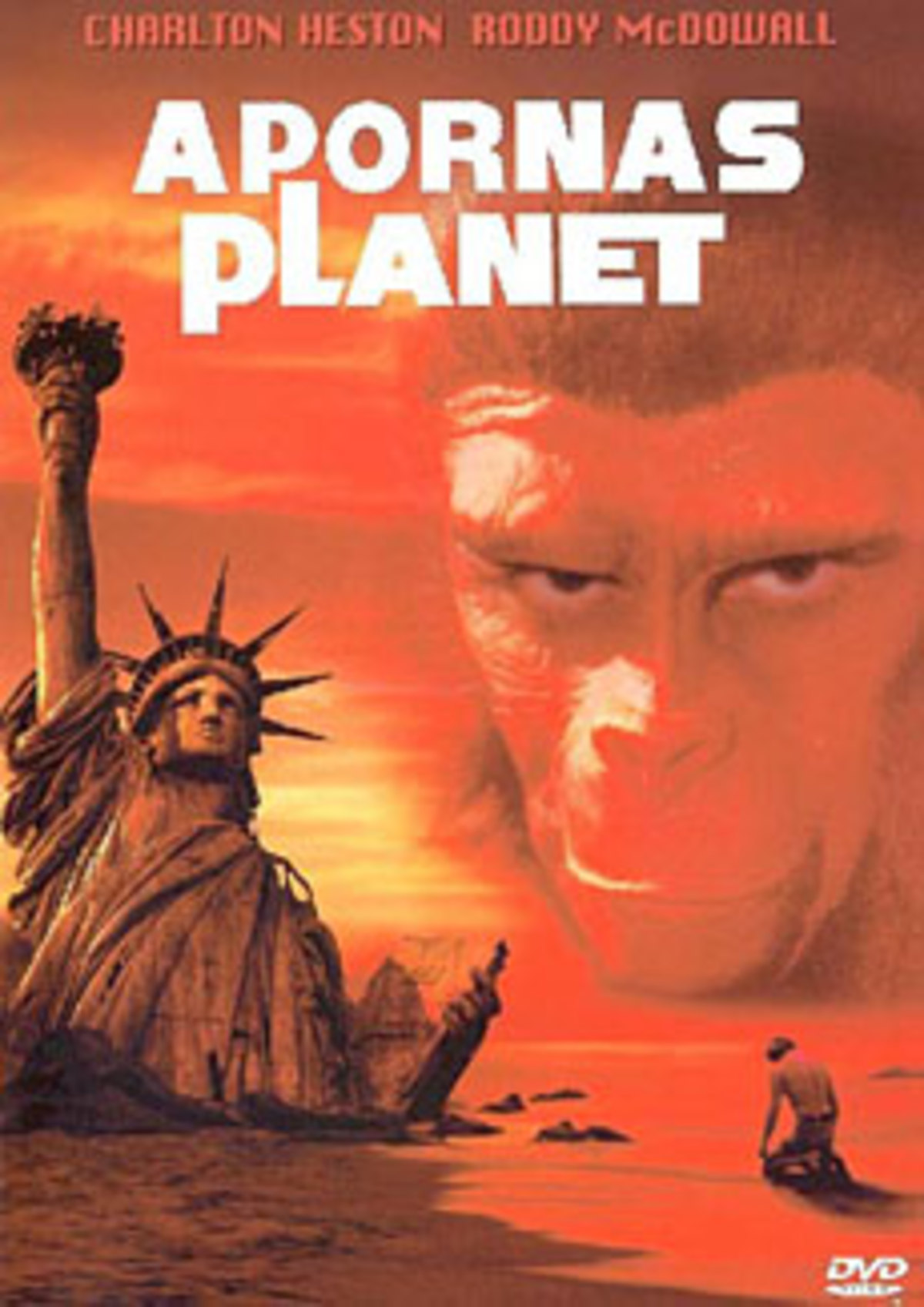 large_original-20375.jpg