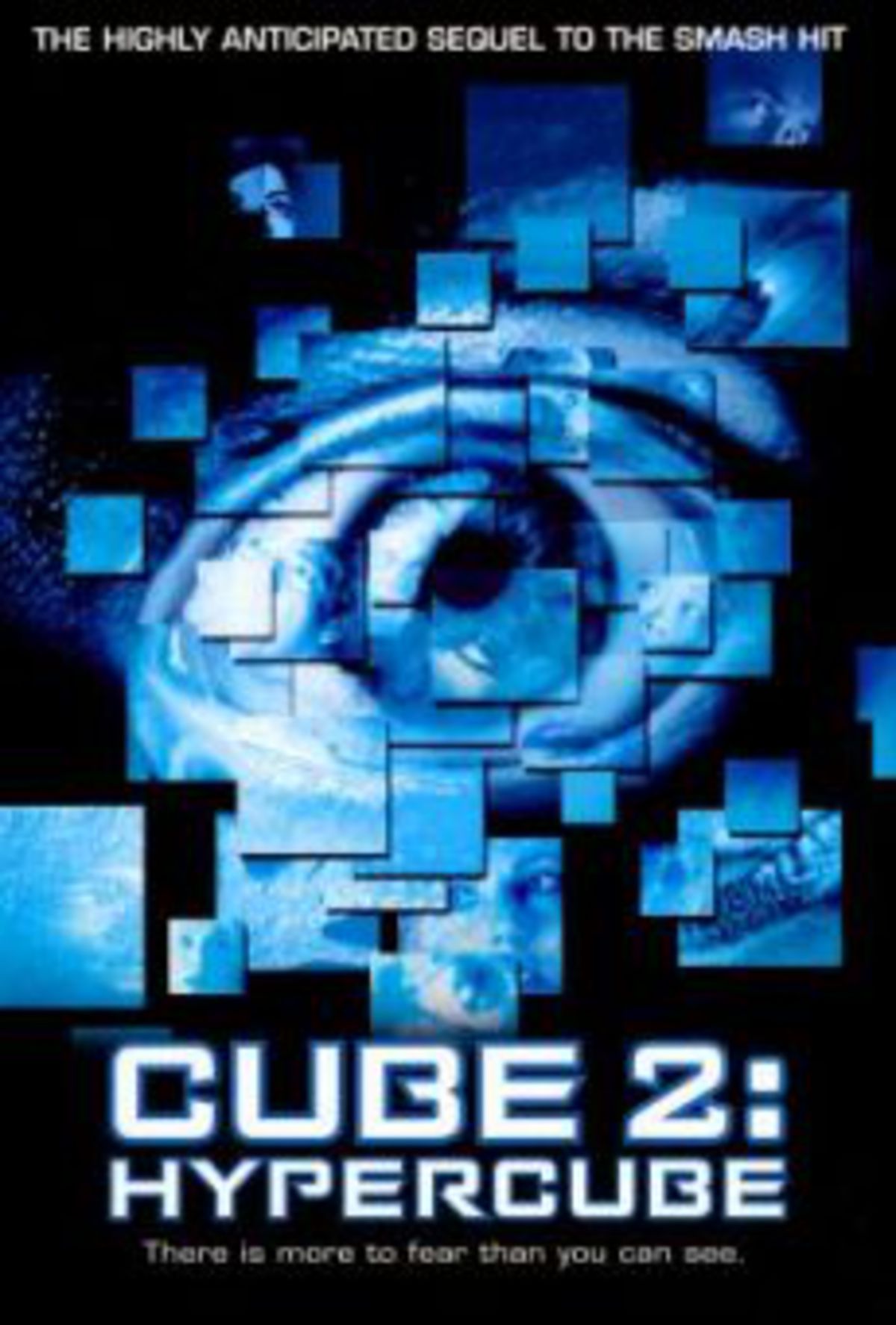 large_original-20497.jpg
