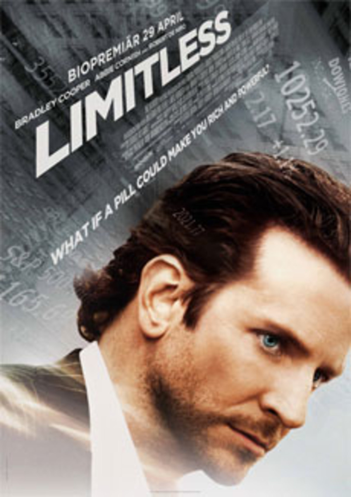 large_original-29158.jpg