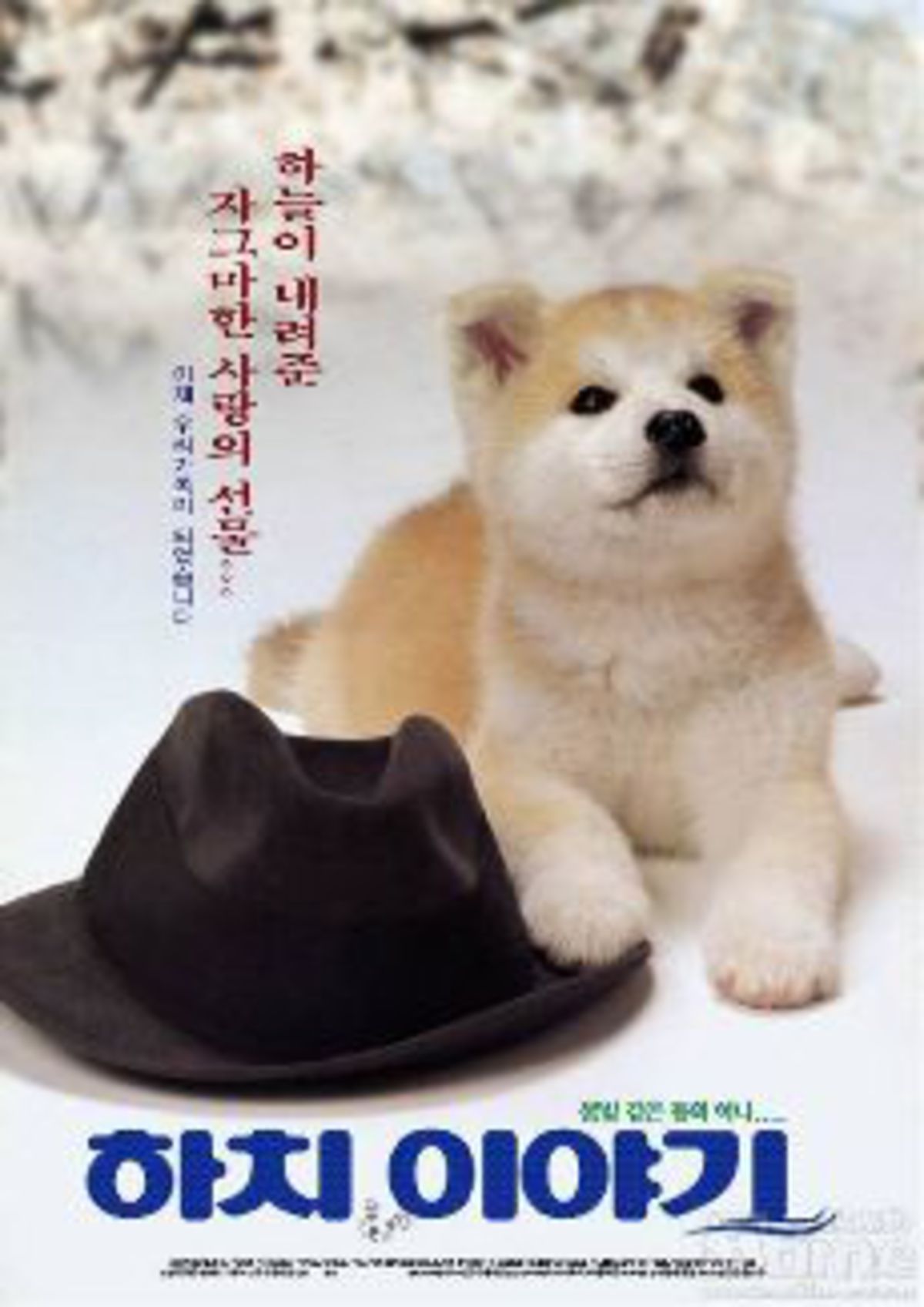 large_original-38630.jpg